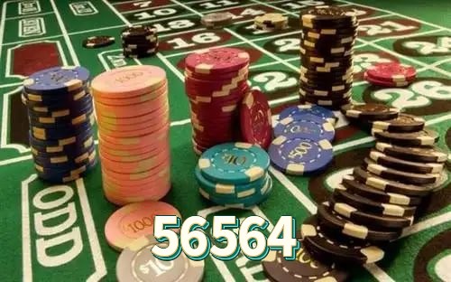 56564 termos — contrato de uso e regulamento da plataforma