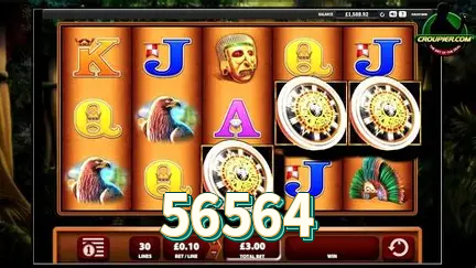 Fortune Tiger 56564